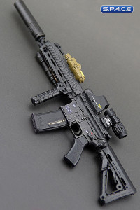 1/6 Scale Assault Rifle 416 Special Force Set A (Dam Neck)