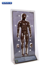 1/6 Scale Heroic Muscle Body - Afro American Version KP02C