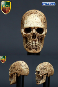 1/6 Scale Cannibal Skulls - Set of 10 (ACI-753)