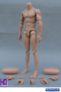 1/6 Scale Musclar Body B005