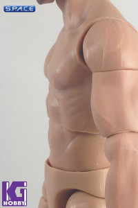 1/6 Scale Musclar Body B005