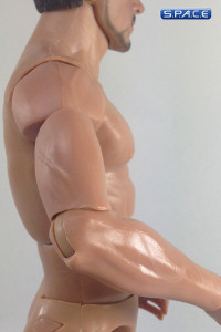 1/6 Scale Musclar Body B005