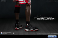 1/6 Scale Michael Jordan - Home Edition Real Masterpiece (NBA Collection)