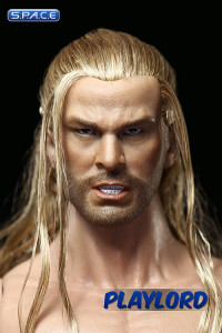 1/6 Scale Chris Hemsworth Head Sculpt