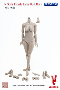 1/6 Scale Female Large Bust Body - Pale/Light Tan (FX01-A)