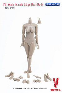 1/6 Scale Female Large Bust Body - Flesh Caucasian (FX01-B)