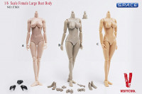 1/6 Scale Female Large Bust Body - Flesh Caucasian (FX01-B)