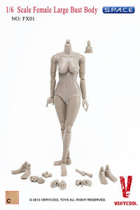 1/6 Scale Female Large Bust Body - Medium Tan/Asian (FX01-C)