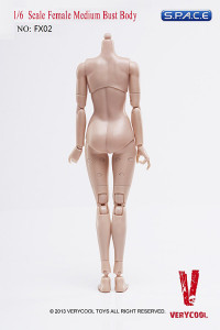 1/6 Scale Female Medium Bust Body - Pale/Light Tan (FX02-A)