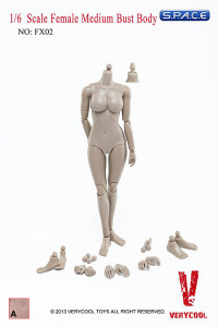 1/6 Scale Female Medium Bust Body - Pale/Light Tan (FX02-A)