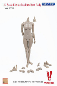 1/6 Scale Female Medium Bust Body - Medium Tan/Asian (FX02-C)