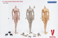 1/6 Scale Female Medium Bust Body - Medium Tan/Asian (FX02-C)