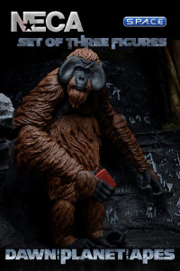 3er Komplettsatz: Dawn of the Planet of the Apes Series 1