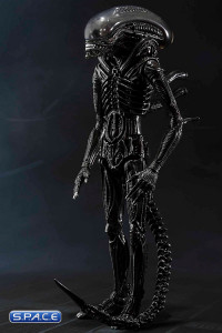 S.H.MonsterArts Big Chap Alien (Alien)