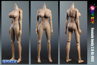 1/6 Scale Female Body Version 2.0 (extra-large breast)