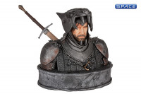 The Hound Bust (Game of Thrones)