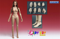 1/6 Scale Asian Female Head HB001 with body