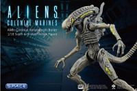 1/18 Scale Xenomorph Boiler (Aliens: Colonial Marines)