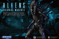 1/18 Scale Xenomorph Soldier  (Aliens: Colonial Marines)