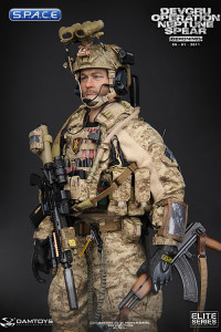 1/6 Scale DEVGRU Operation Neptune Spear GERONIMO (Elite Series)