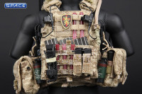 1/6 Scale DEVGRU Operation Neptune Spear GERONIMO (Elite Series)