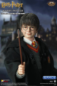 1/6 Scale Harry Potter (Harry Potter and the Sorcerers Stone)