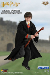 1/6 Scale Harry Potter (Harry Potter and the Sorcerers Stone)