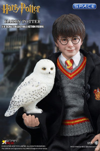 1/6 Scale Harry Potter (Harry Potter and the Sorcerers Stone)