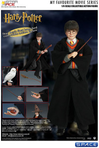 1/6 Scale Harry Potter (Harry Potter and the Sorcerers Stone)