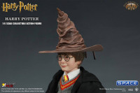 1/6 Scale Harry Potter (Harry Potter and the Sorcerers Stone)