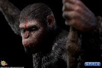 1/4 Scale Caesar Statue (Dawn of the Planet of the Apes)