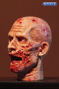 1/6 Scale Zombie Head Frank (professional paint)