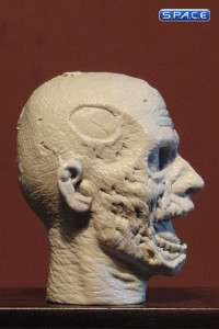 1/6 Scale Zombie Head Frank (unpainted)