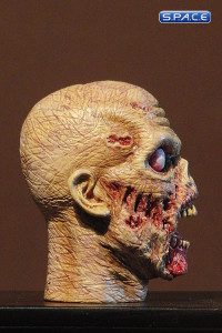 1/6 Scale Zombie Head Keith (professional paint)