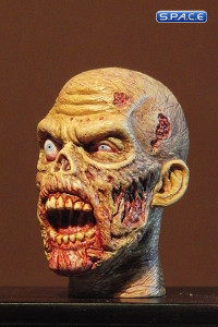 1/6 Scale Zombie Head Keith (professional paint)