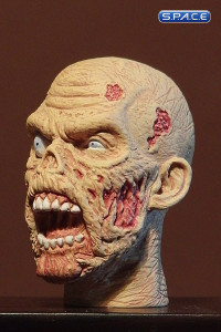 1/6 Scale Zombie Head Keith (regular paint)