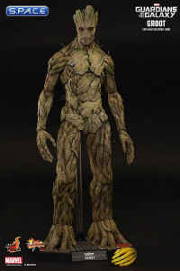 1/6 Scale Groot Movie Masterpiece MMS253 (Guardians of the Galaxy)