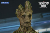 1/6 Scale Groot Movie Masterpiece MMS253 (Guardians of the Galaxy)