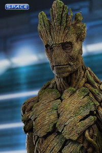 1/6 Scale Rocket & Groot Movie Masterpiece Set MMS254 (Guardians of the Galaxy)