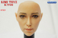 1/6 Scale Female Head Sculpt