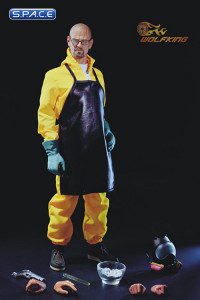 1/6 Scale Walt - the Chemical Poisoning Teacher
