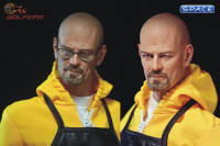 1/6 Scale Walt - the Chemical Poisoning Teacher